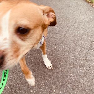 Meet your Posher, Emma